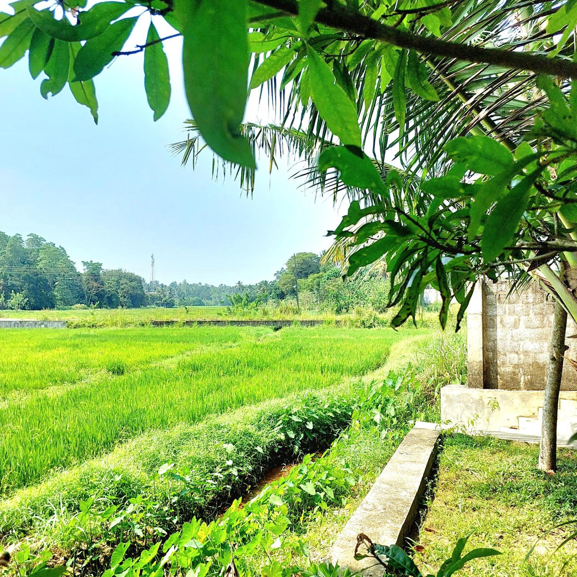 بيت للعطل The Paddy Kottawa